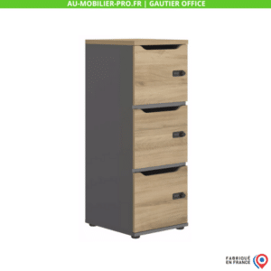 Armoire de bureau moderne, bois et gris.